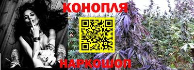 гашиш Новодвинск