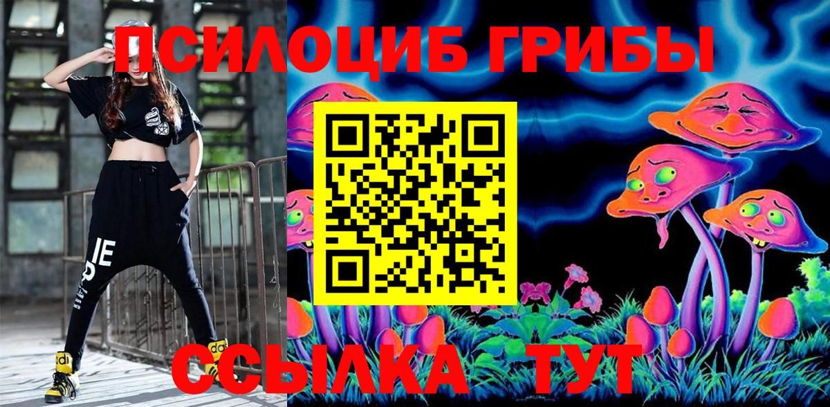 Сызрань  Псилоцибиновые грибы Magic Shrooms  Вход с VPN 